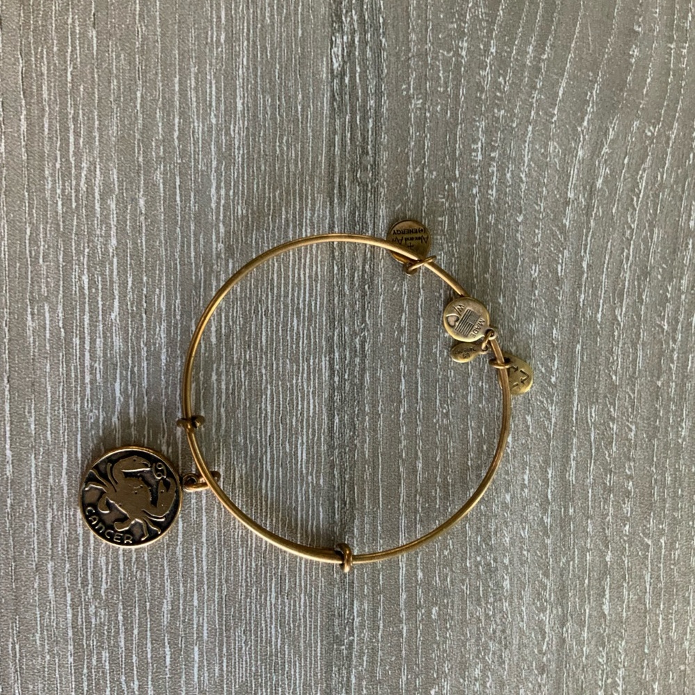 Alex and Ani Gold Tone Bracelet Bangle Cancer Sign
